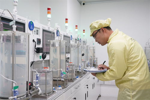 夯实基础全面发力，推进中国式现代化行稳致远——写在“十五五”规划纲要启动实施之际