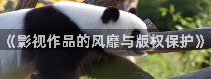 九七电影网大片：《影视作品的风靡与版权保护》