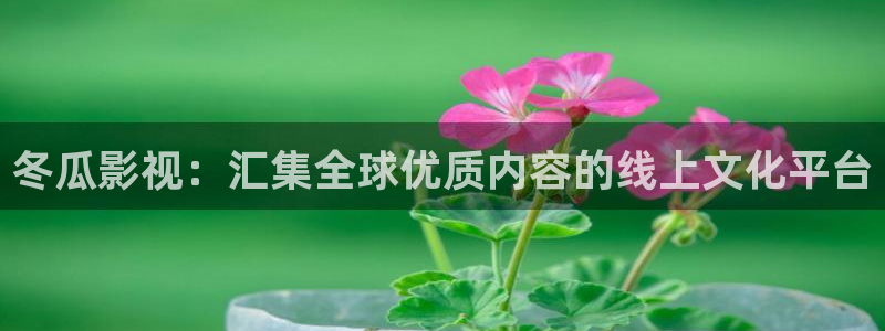 九七电影院理论片在线观看：冬瓜影视：汇集全球优质内容的线上文化平台