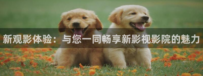 九七人妻碰碰视频