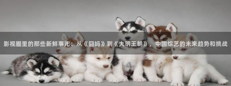 电影九七午夜：影视圈里的那些新鲜事儿：从《囧妈》到《大明王朝》，中国综艺的未来趋势和挑战