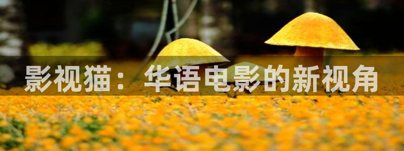 色九七电影院：影视猫：华语电影的新视角
